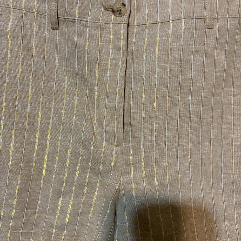 NWT Women’s J. Crew Light Tan Shorts with Gold Pinstripes Size 8 - Picture 2 of 16